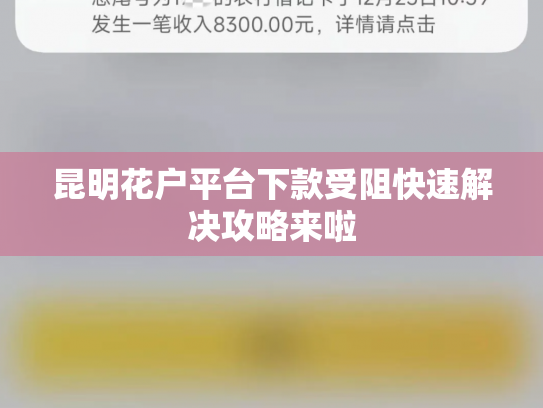 昆明花户平台下款受阻快速解决攻略来啦