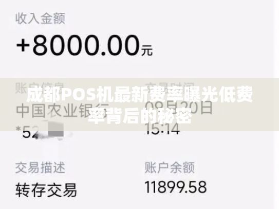 成都POS机最新费率曝光低费率背后的秘密