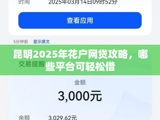 昆明2025年花户网贷攻略，哪些平台可轻松借