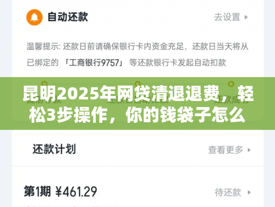 详细阅读:昆明2025年网贷清退退费,轻松3步操作,你的钱袋子怎么肥事 昆明2025年网贷清退退费,轻松3步操作,你的钱袋子怎么肥事