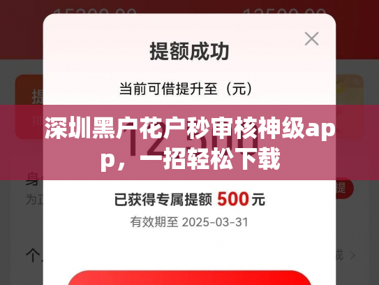 深圳黑户花户秒审核神级app，一招轻松下载