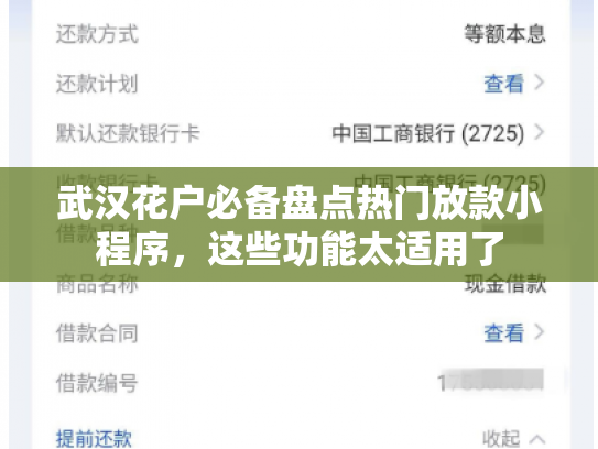 武汉花户必备盘点热门放款小程序，这些功能太适用了