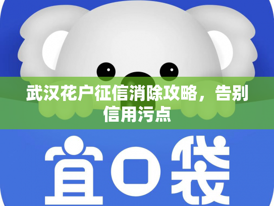 详细阅读:武汉花户征信消除攻略,告别信用污点 武汉花户征信消除攻略,告别信用污点