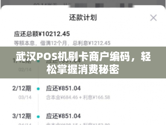 详细阅读:武汉POS机刷卡商户编码,轻松掌握消费秘密 武汉POS机刷卡商户编码,轻松掌握消费秘密