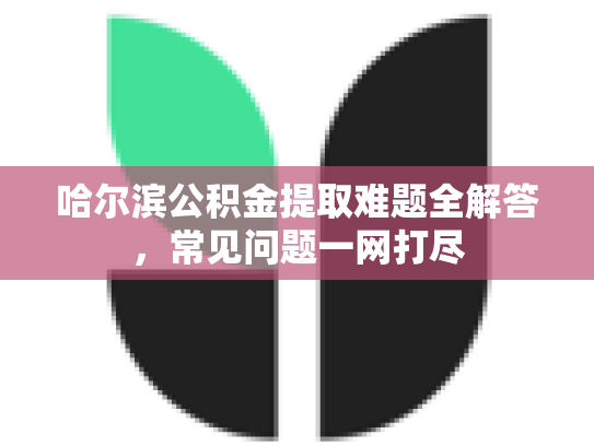 详细阅读:哈尔滨公积金提取难题全解答,常见问题一网打尽 哈尔滨公积金提取难题全解答,常见问题一网打尽
