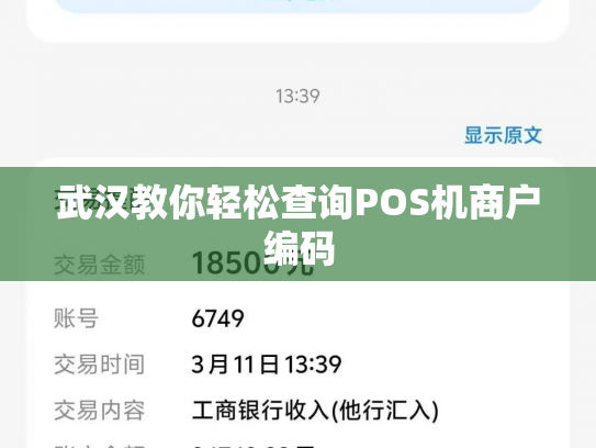 详细阅读:武汉教你轻松查询POS机商户编码 武汉教你轻松查询POS机商户编码