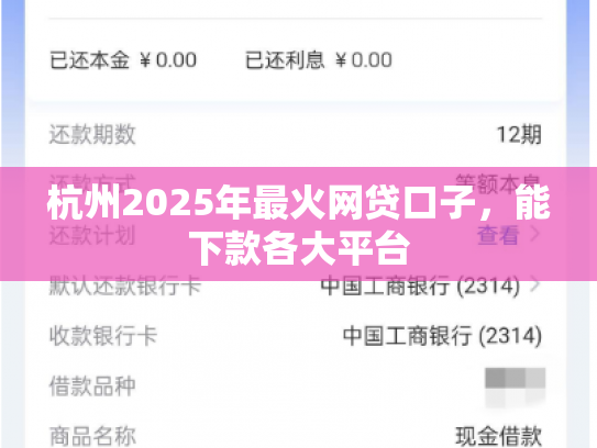 杭州2025年最火网贷口子，能下款各大平台