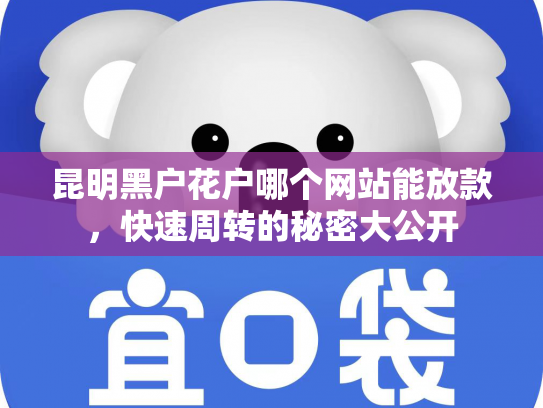 昆明黑户花户哪个网站能放款，快速周转的秘密大公开