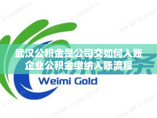 武汉公积金是公司交如何入账企业公积金缴纳入账流程