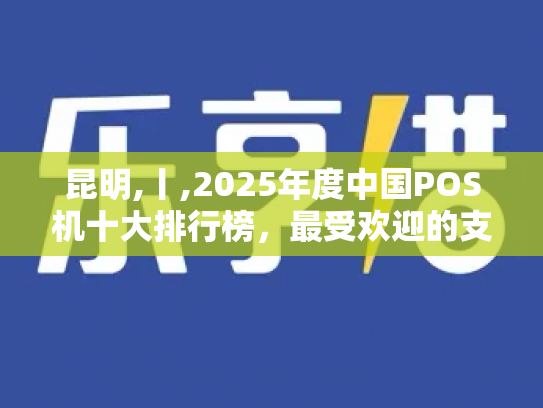 昆明,丨,2025年度中国POS机十大排行榜，最受欢迎的支付神器
