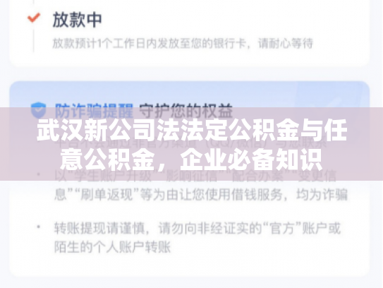 武汉新公司法法定公积金与任意公积金，企业必备知识