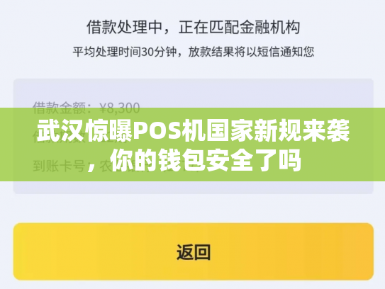 武汉惊曝POS机国家新规来袭，你的钱包安全了吗