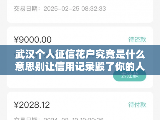 武汉个人征信花户究竟是什么意思别让信用记录毁了你的人生