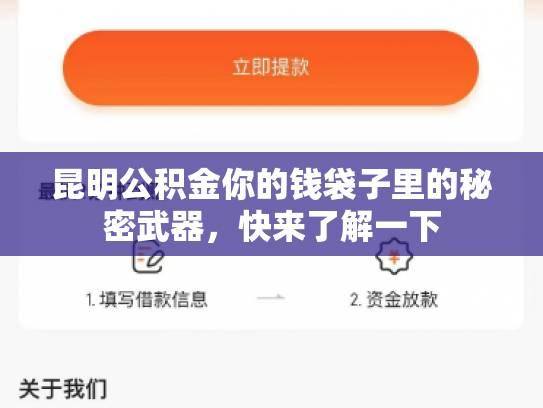详细阅读:昆明公积金你的钱袋子里的秘密武器,快来了解一下 昆明公积金你的钱袋子里的秘密武器,快来了解一下