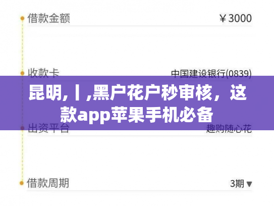 昆明,丨,黑户花户秒审核，这款app苹果手机必备