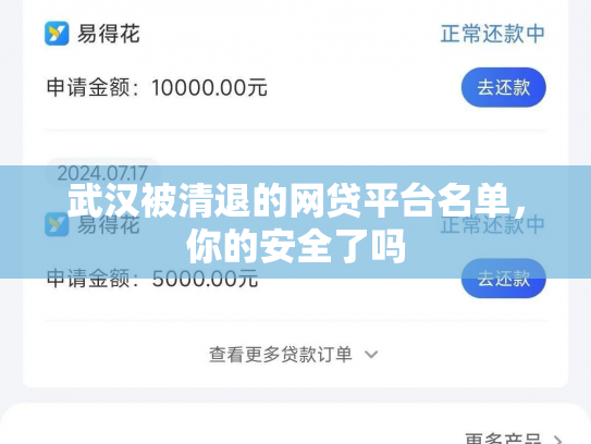 武汉被清退的网贷平台名单，你的安全了吗