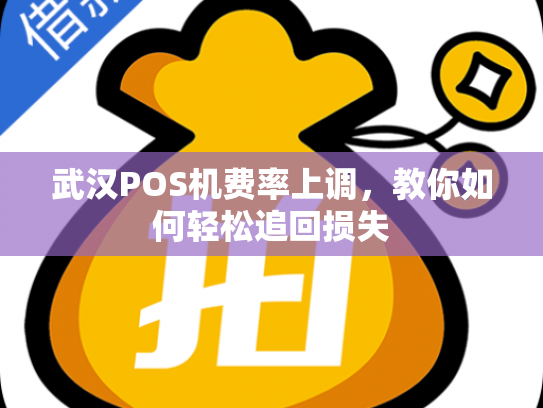 武汉POS机费率上调，教你如何轻松追回损失