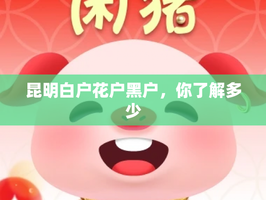 昆明白户花户黑户，你了解多少