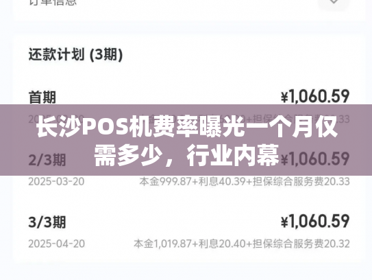 长沙POS机费率曝光一个月仅需多少，行业内幕