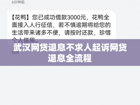 武汉网贷退息不求人起诉网贷退息全流程