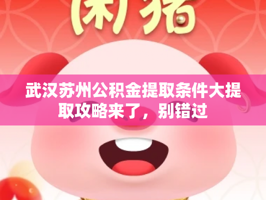 武汉苏州公积金提取条件大提取攻略来了，别错过