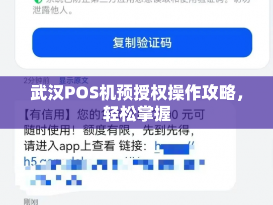 武汉POS机预授权操作攻略，轻松掌握