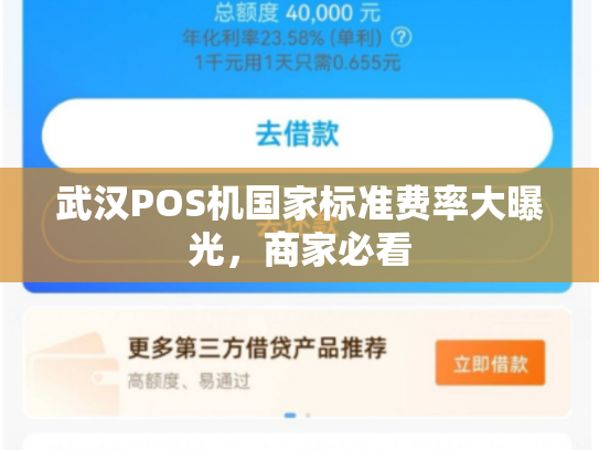 武汉POS机国家标准费率大曝光，商家必看