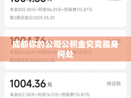 成都你的公司公积金究竟藏身何处