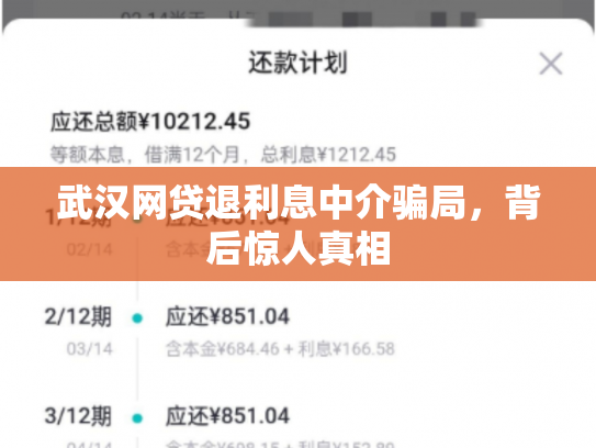 武汉网贷退利息中介骗局，背后惊人真相