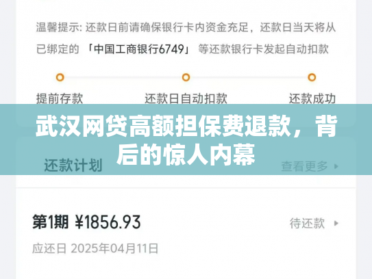 武汉网贷高额担保费退款，背后的惊人内幕
