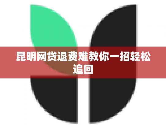 昆明网贷退费难教你一招轻松追回