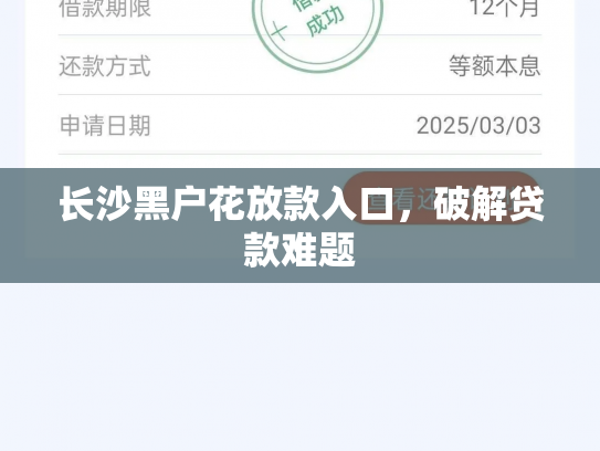 长沙黑户花放款入口，破解贷款难题