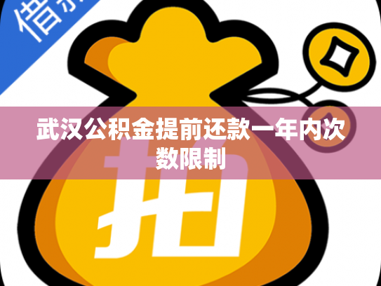 武汉公积金提前还款一年内次数限制
