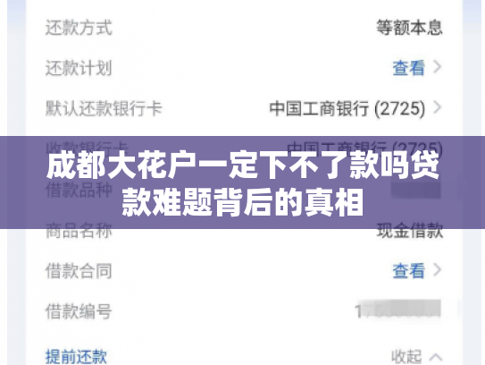 成都大花户一定下不了款吗贷款难题背后的真相