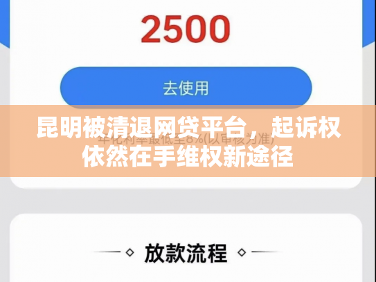 昆明被清退网贷平台，起诉权依然在手维权新途径