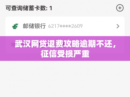 武汉网贷退费攻略逾期不还，征信受损严重