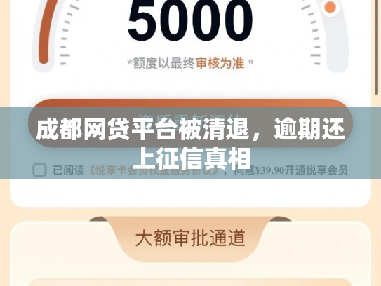 成都网贷平台被清退，逾期还上征信真相