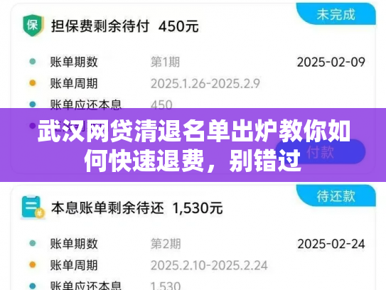 武汉网贷清退名单出炉教你如何快速退费，别错过