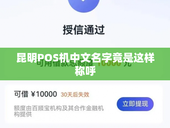 昆明POS机中文名字竟是这样称呼