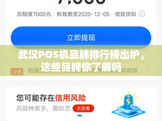 武汉POS机品牌排行榜出炉,这些品牌你了解吗