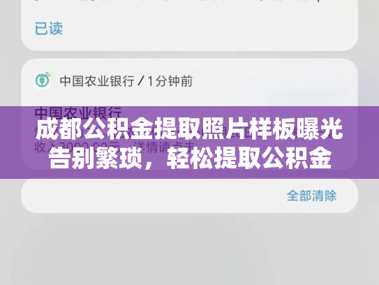 成都公积金提取照片样板曝光告别繁琐，轻松提取公积金