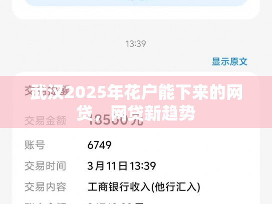 武汉2025年花户能下来的网贷，网贷新趋势