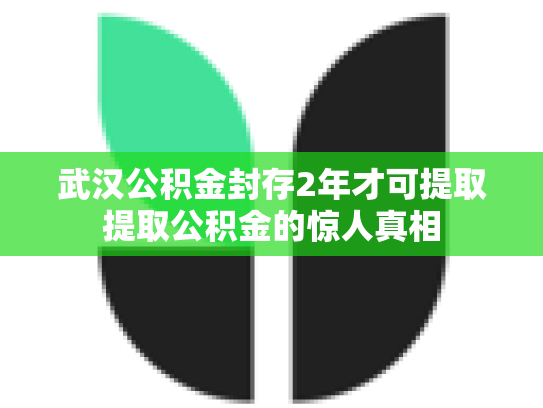 武汉公积金封存2年才可提取提取公积金的惊人真相