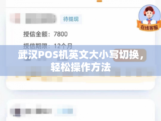 武汉POS机英文大小写切换，轻松操作方法