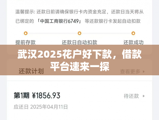 武汉2025花户好下款，借款平台速来一探