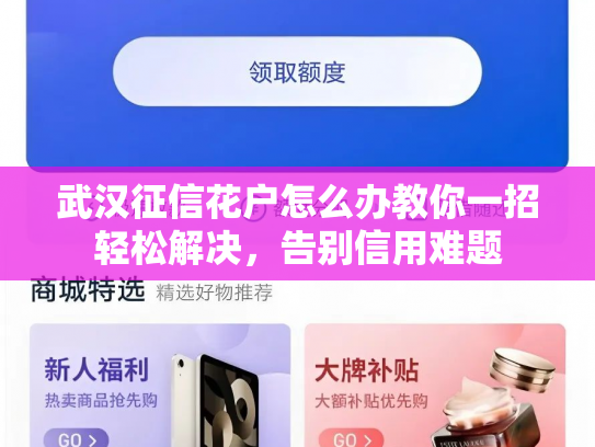 武汉征信花户怎么办教你一招轻松解决，告别信用难题
