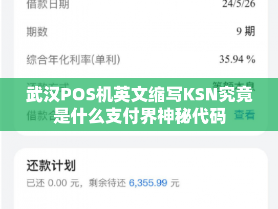 武汉POS机英文缩写KSN究竟是什么支付界神秘代码