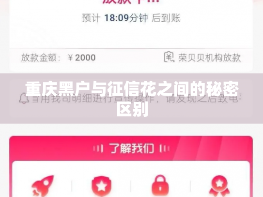 重庆黑户与征信花之间的秘密区别