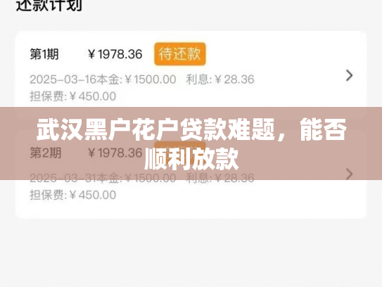 武汉黑户花户贷款难题，能否顺利放款