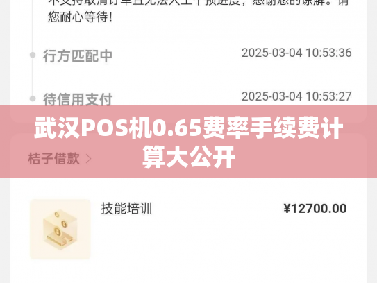 武汉POS机0.65费率手续费计算大公开